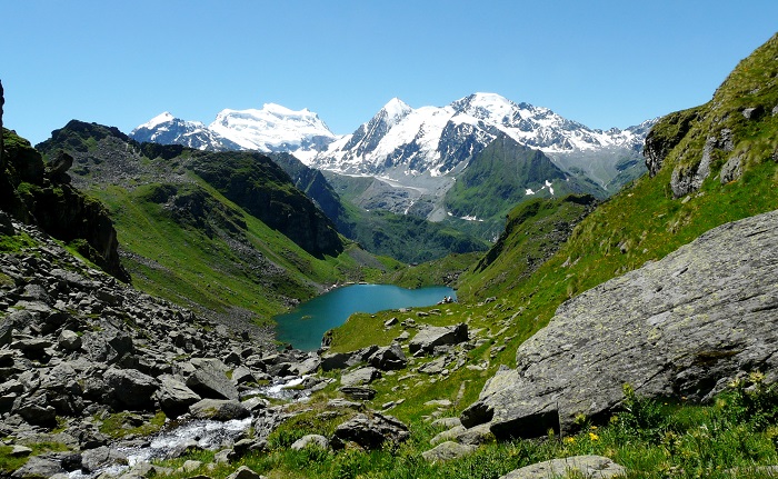 Arve